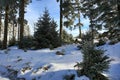 Hill PancÃÂ­Ãâ¢, Cloudes and trees, winter landscape in ÃÂ umava in ÃÂ½eleznÃÂ¡ Ruda, czech republic